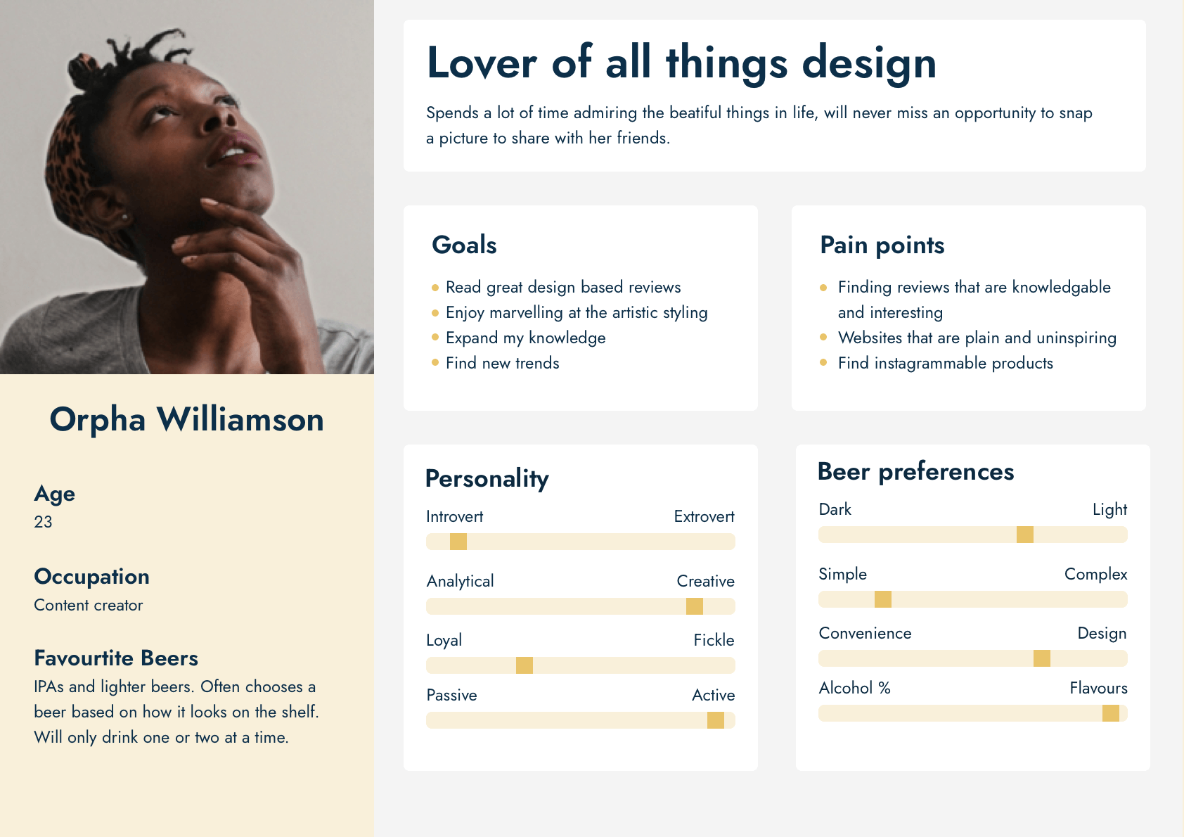 User Persona B - The user persona of a design lover